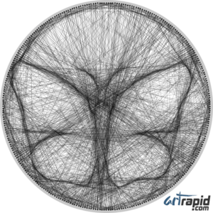 Circular string Batterfly String Image